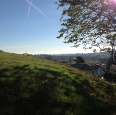 Giardino 24